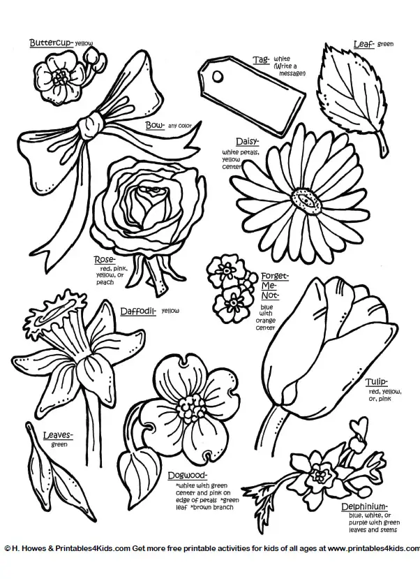 name printable coloring pages - photo #41